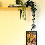 Ganze Allein Apartment